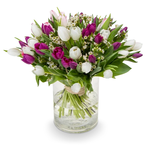 Bouquet of tulips